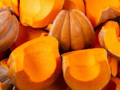 Courge Muscade - Tranche + Persil