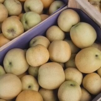 Pomme Chantecler - Colis de 13kg