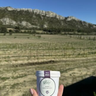 Glace Artisanale Mûres "La Glace des Alpilles" - 516ml