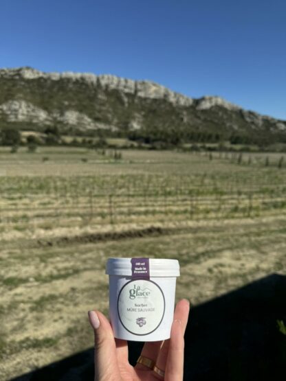 Glace Artisanale Mûres "La Glace des Alpilles" - 516ml