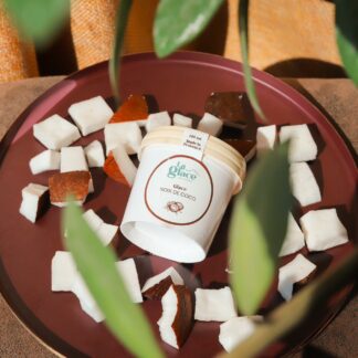 Glace Artisanale Noix de Coco "La Glace des Alpilles" - 140ml