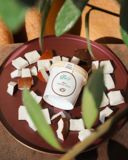 Glace Artisanale Noix de Coco "La Glace des Alpilles" - 514ml