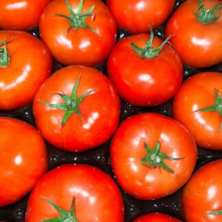 Tomate (à farcir)