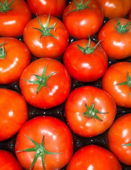 Tomate (à farcir)