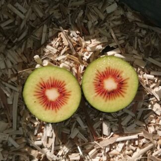 Kiwi Rouge