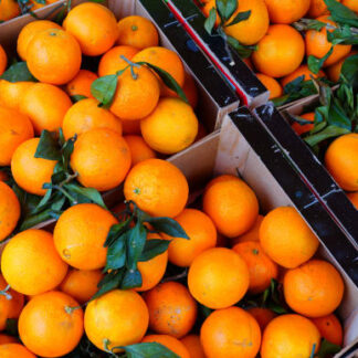 Orange Feuille de Corse - Colis 6kg PROMO