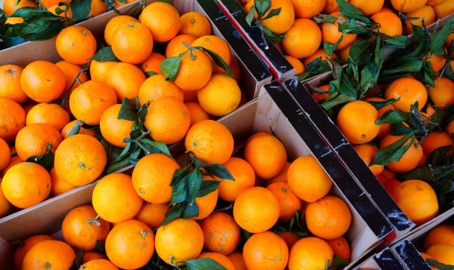 Orange Feuille de Corse - Colis 6kg PROMO