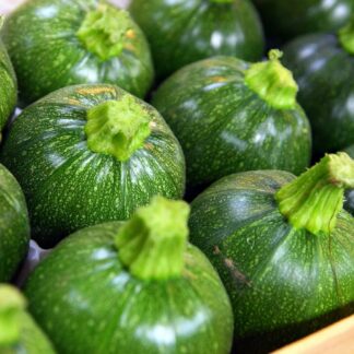 Courgette Ronde
