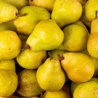 Poire Guyot - Colis 5kg - PROMO