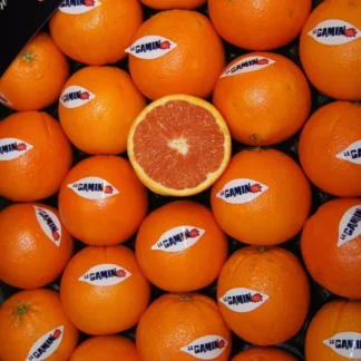 Clémentine "Le Gamin"