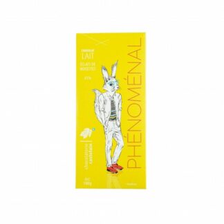 Tablette de Chocolat Lait 41% "Phénoménal" ♻ - Noisettes - 100g