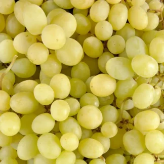 Raisin Blanc - Prime Seedless - Sans Pépins